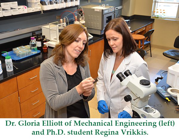 Dr. Gloria Elliot of Mechanical Engineering and Ph.D. student Regina Vrikkis