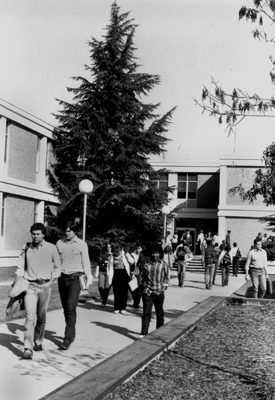 Smith building in 1966