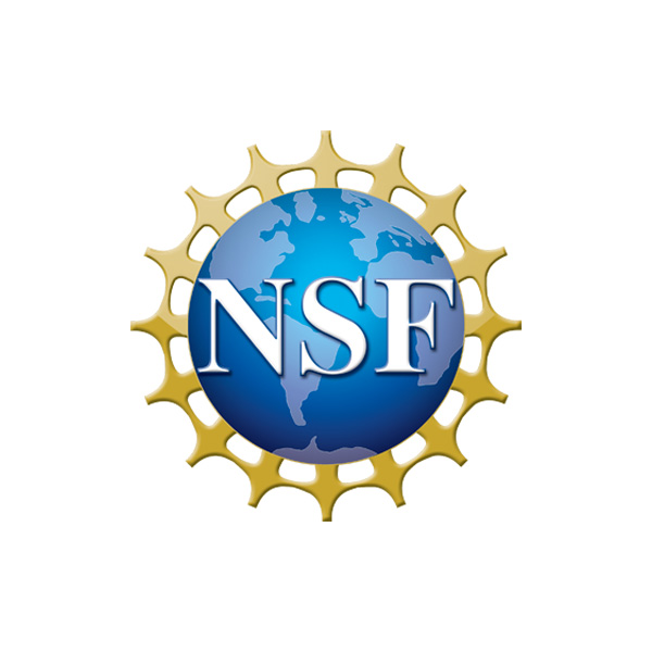 NSF Logo