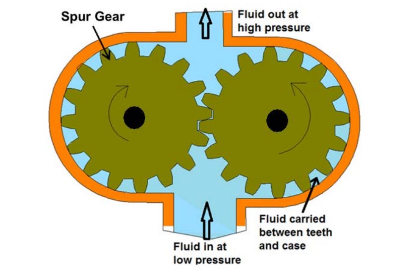 Gear motor: a rotary actuator