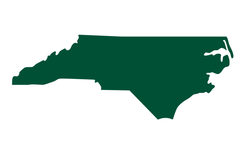 green North Carolina state icon